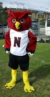 Mascot Performs at Citrus Bowl